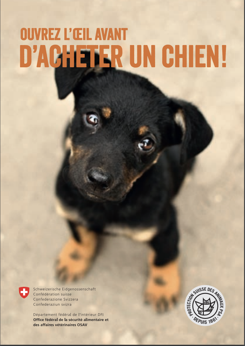 J'achète un chien, attention Informations importantes j'achète un chien